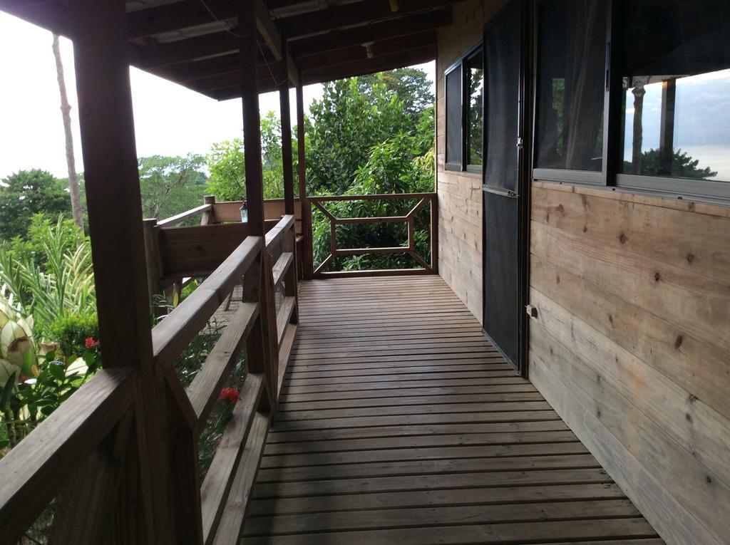 Many'S House Hotel Ballena ห้อง รูปภาพ